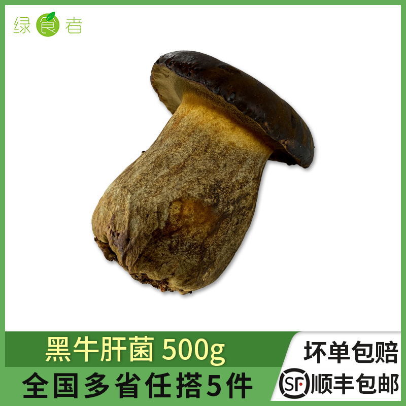新鲜黑牛肝菌500g 云南特产食用牛肝菌菇炒菜煲汤火锅食材5件包邮