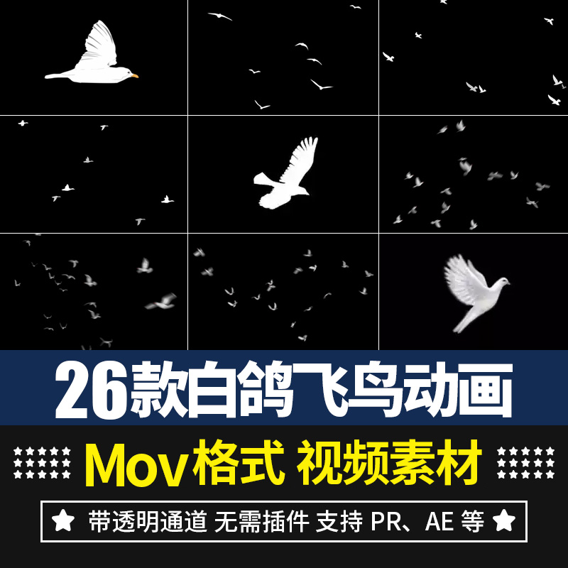 pr/ae视频素材鸽子白鸽鸟群飞鸟飞行动画alpha透明通道后期合成