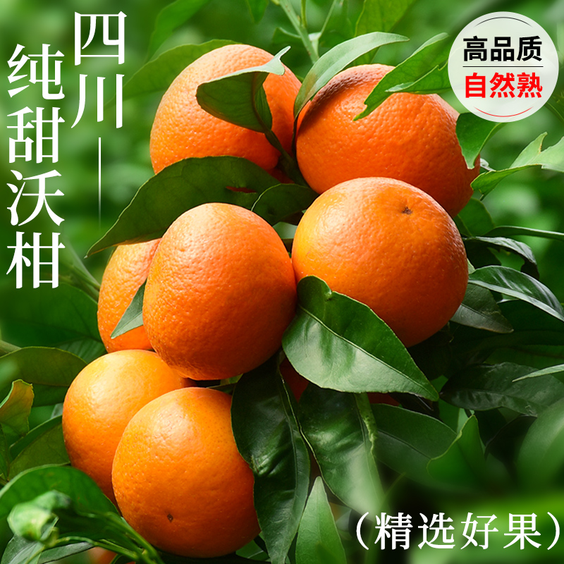 四川纯甜沃柑9斤橘子新鲜水果当季整箱包邮皇帝蜜柑橘砂糖桔子丑