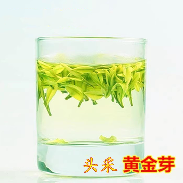 2024新茶绿茶 明前黄金芽黄金叶 黄茶黄金安吉原产地白茶100g茶叶