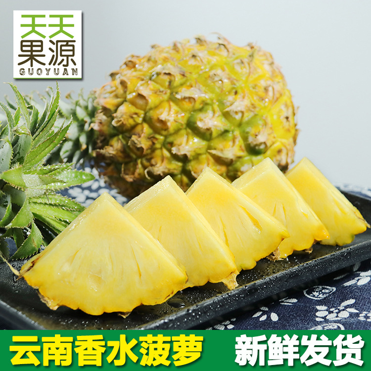 产地直发云南河口香水菠萝8斤整箱新鲜水果非海南金钻凤梨