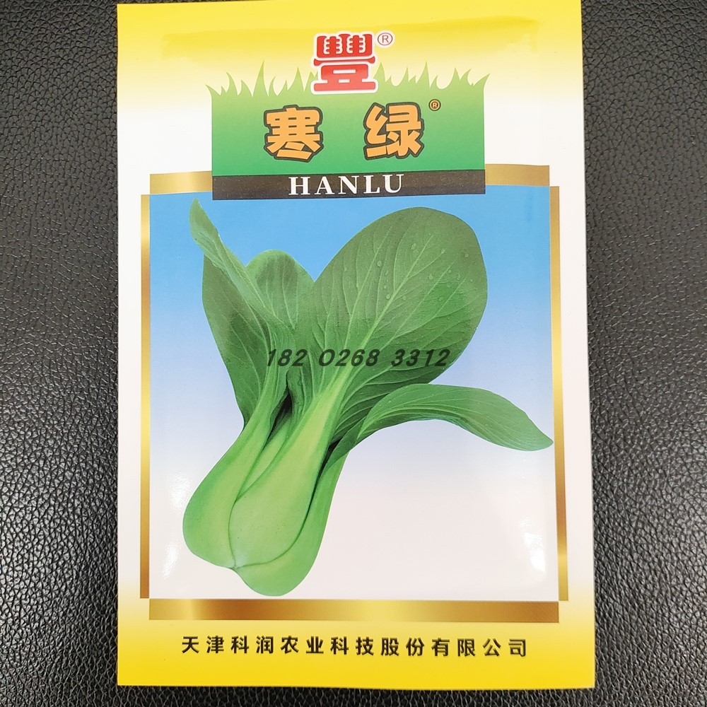 寒绿油菜种子耐寒不结球白菜蔬菜种子天津农科院科润蔬菜研究所制