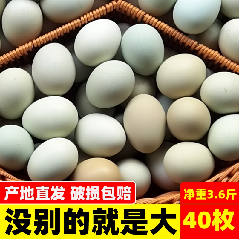 知楚大乌鸡蛋40枚整箱新鲜绿壳蛋正宗农家土鸡蛋鲜鸡蛋农村乌骨鸡