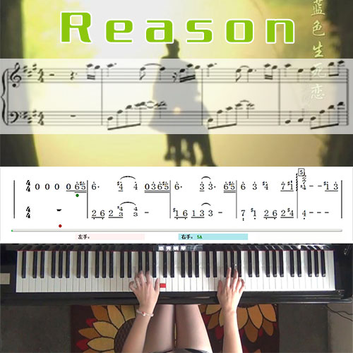 Reason理由(蓝色生死恋）钢琴简谱教学课程