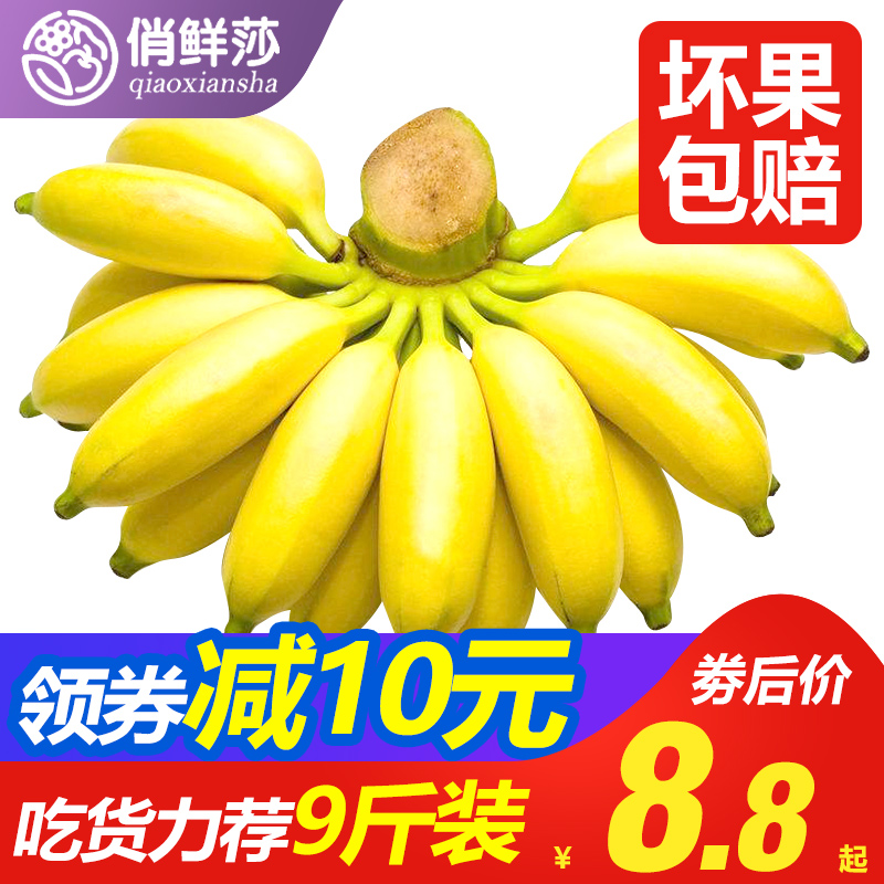 广西小米蕉香蕉绿皮需催熟当季新鲜水果香甜可口HOT热卖多仓发货5