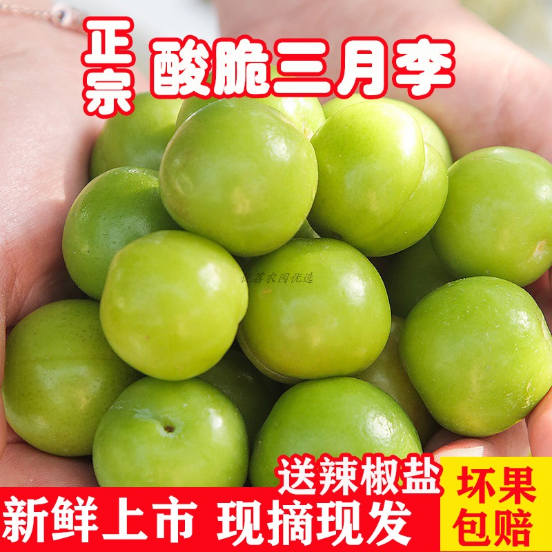 广西灵山三月李子新鲜水果当季三华李5斤孕妇酸青李珍珠钱排现货