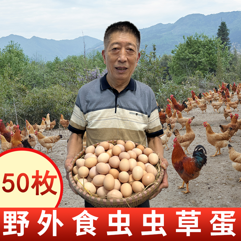农家散养土鸡蛋整箱50枚新鲜山林放养虫草蛋五谷鸡蛋30枚特价包邮