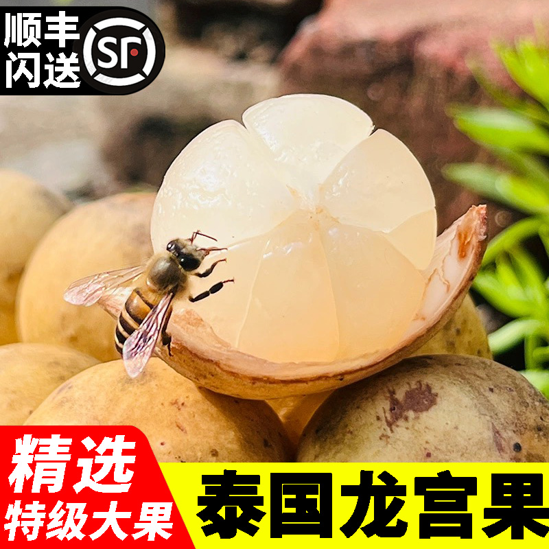 【顺丰闪送】泰国进口龙宫果 高端品种新鲜热带水果 龙贡果孕妇