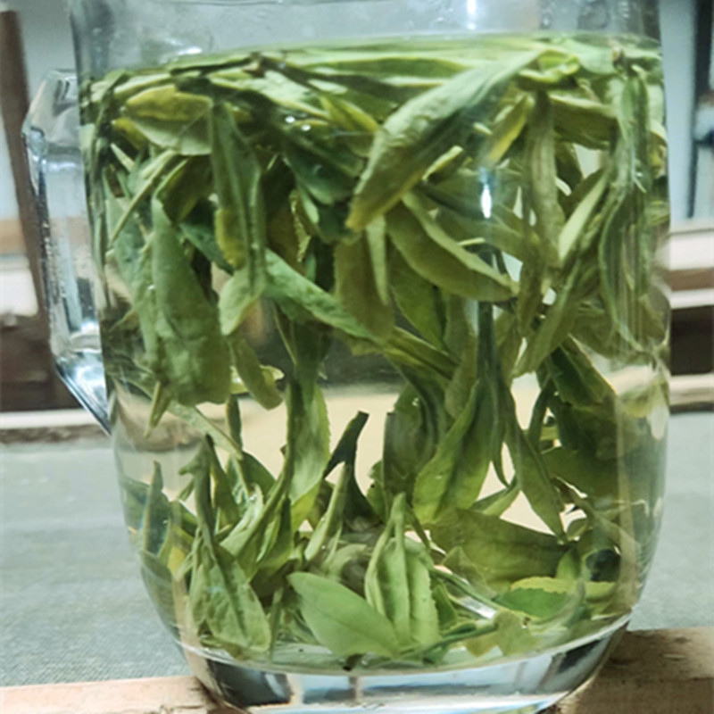 龙井43品种茶2024年新茶高山绿茶自家采摘加工品质好浓香散装半斤