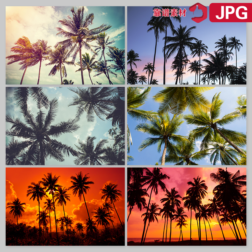 热带海边阳光沙滩椰树林黄昏清晨风景图片设计素材