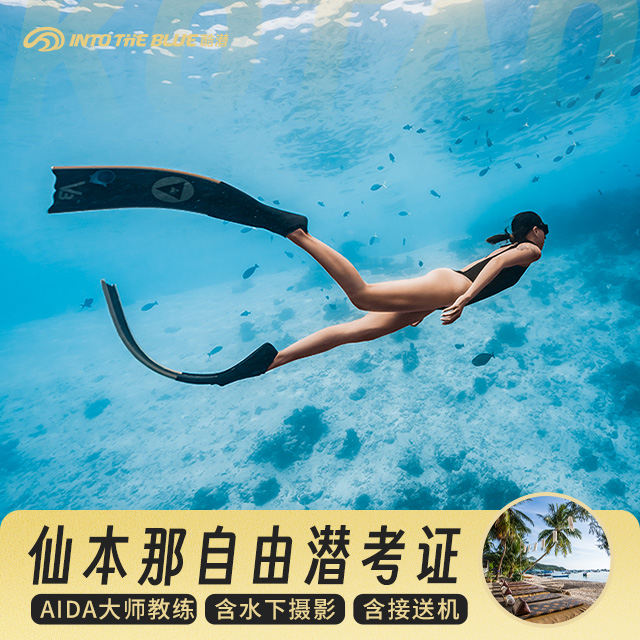 酷潜直营 仙本那AIDA自由潜水课程 诗巴丹固定名额 水下摄影跟拍