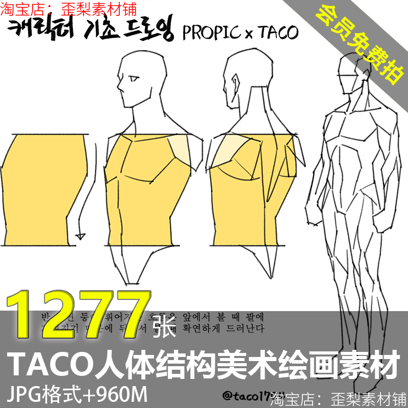 taco人体结构身体四肢比例手足头线稿绘画临摹参考资料美术CG素材