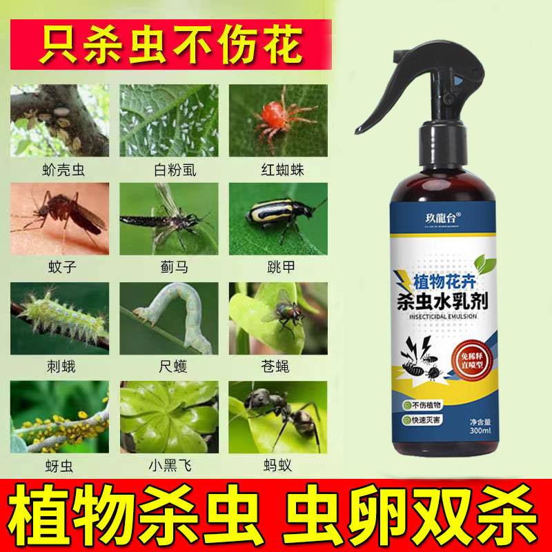 新品富贵竹杀虫剂水培植物杀虫剂家用室内无毒小飞虫红蜘蛛蚜虫品