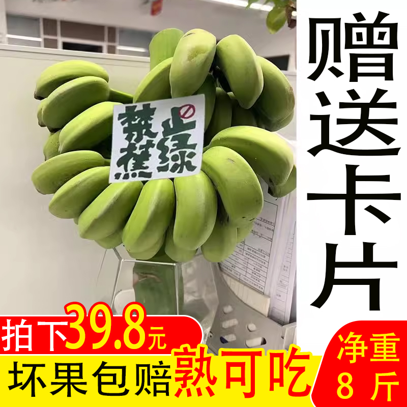 整串带杆芭蕉花办公室水培小米香蕉新鲜连果插花绿植【禁止蕉绿】