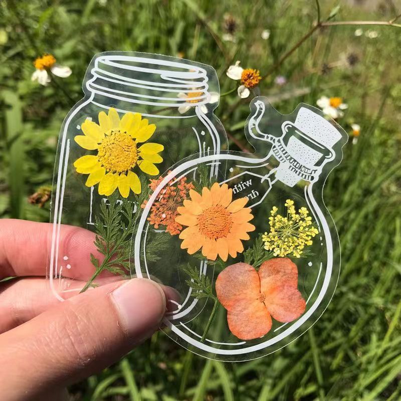DIY自制压花书签创意手工收集瓶子里的春天透明干花树叶学生儿童