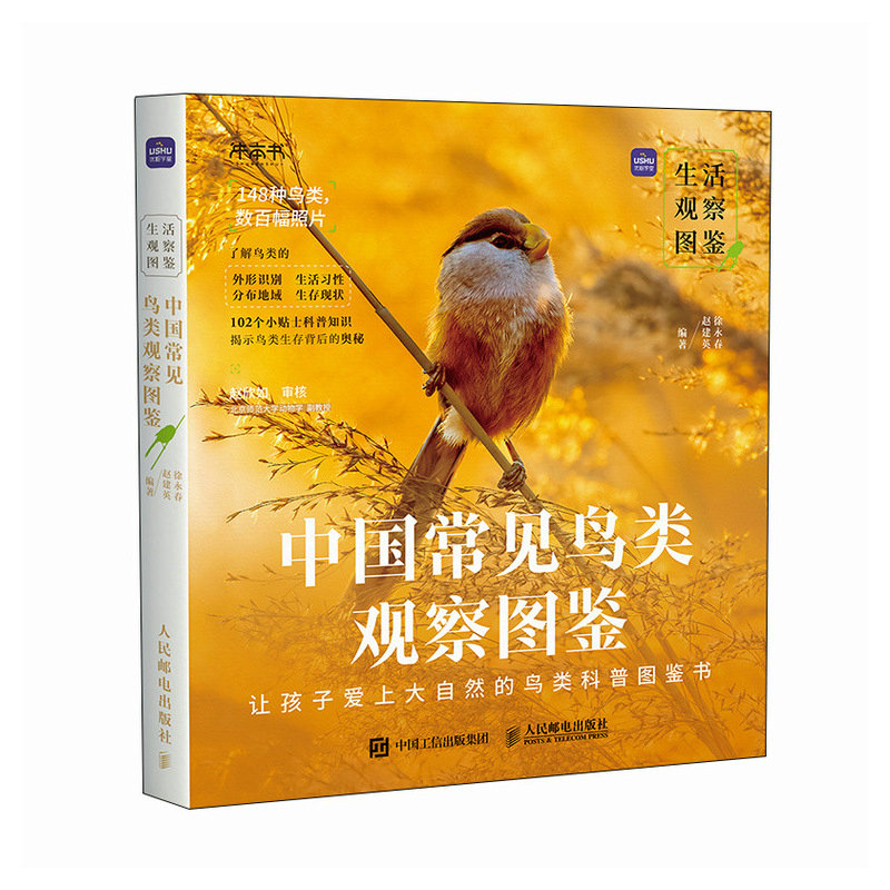 中国常见鸟类图片