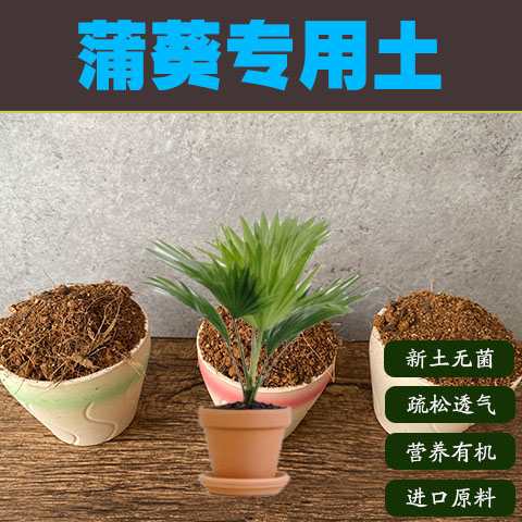 大叶蒲葵树专用土棕榈树盆栽营养土酸性沙质土壤室内绿植种植肥料
