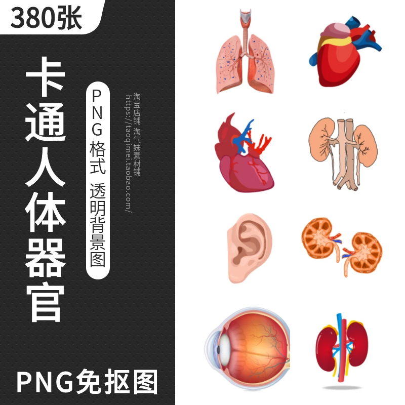 免抠PNG卡通人体器官图片内脏肺心肝眼耳气管医疗海报插图PS素材