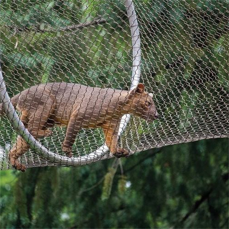 不锈钢绳网鸟语林笼笼舍动物阻拦网小区天井安全绳网动物园绳