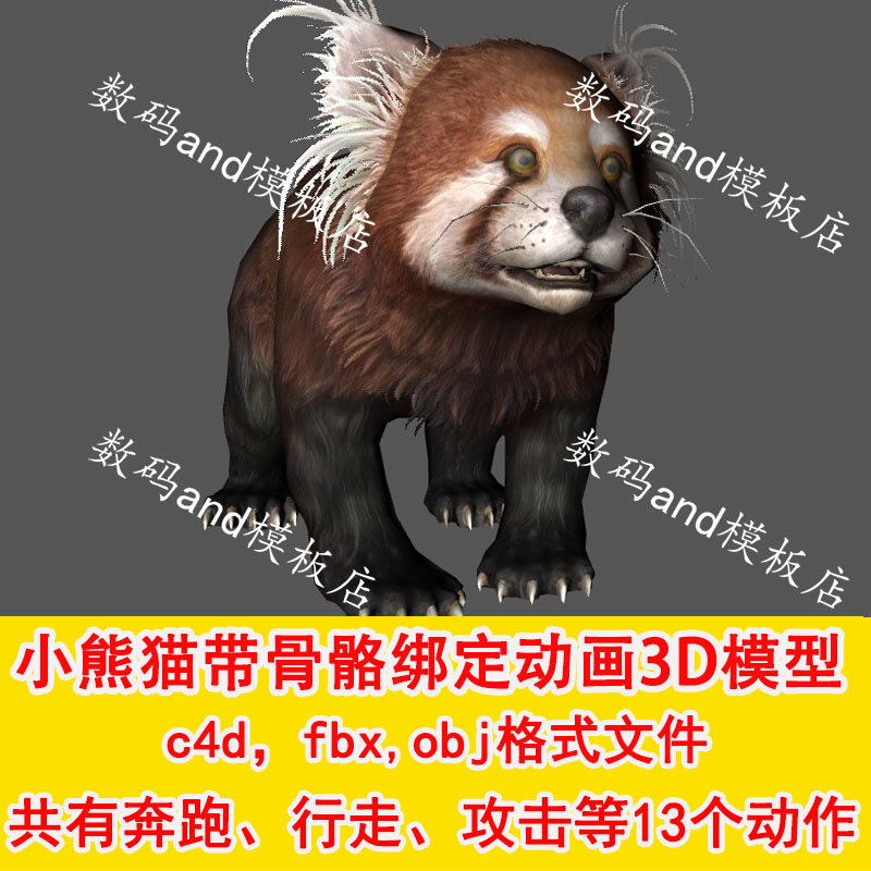 小熊猫3d模型骨骼绑定 熊猫动物模型动画 熊猫三维模型 c4d小熊猫
