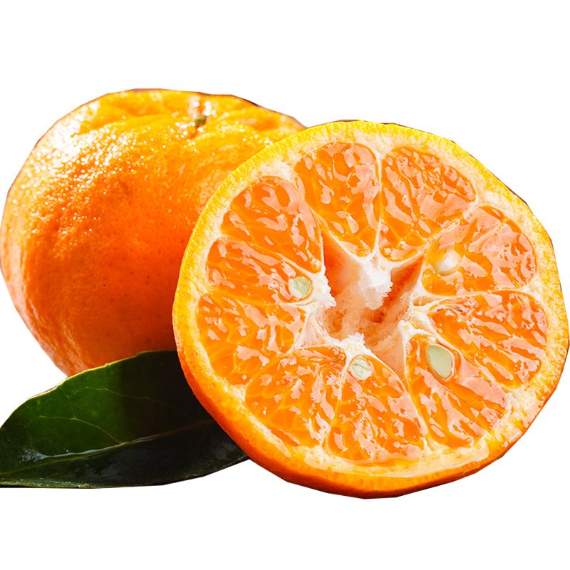 沃柑 云南大理 大小不一高海拔水果柑橘甜而不腻多汁美味