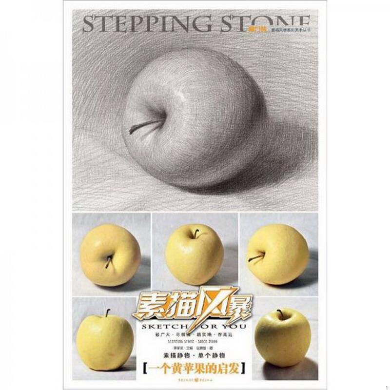正版书籍 素描静物：一个黄苹果的启发匡鹏智  著9787229053567