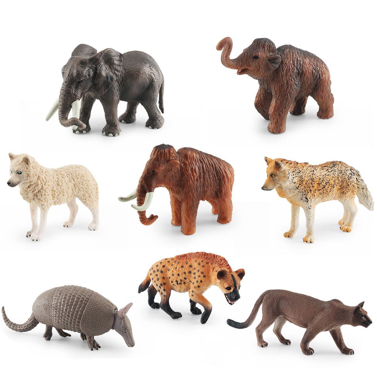 8种动物模型亚洲象美洲狮北极狼犰狳猛犸象鬣狗桌面摆件儿童玩具