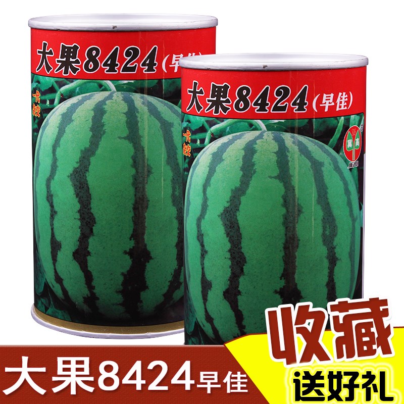 早佳大果8424西瓜种子新疆早熟抗裂西瓜种籽大田种植高产蔬菜品种
