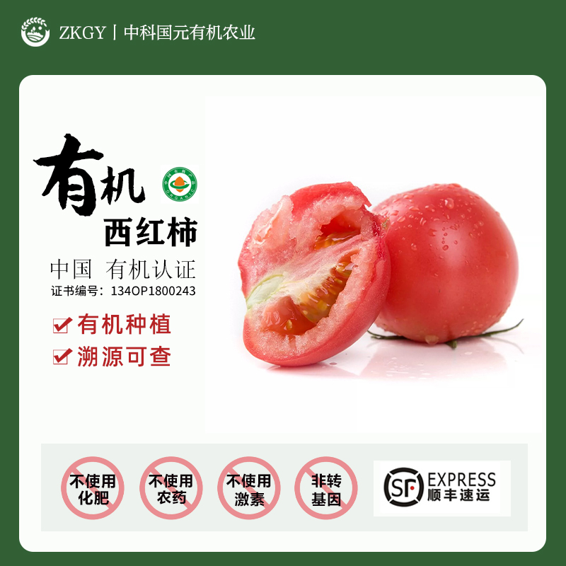 有机西红柿®自然熟番茄 孕妇宝宝老人新鲜蔬菜非转基因5斤