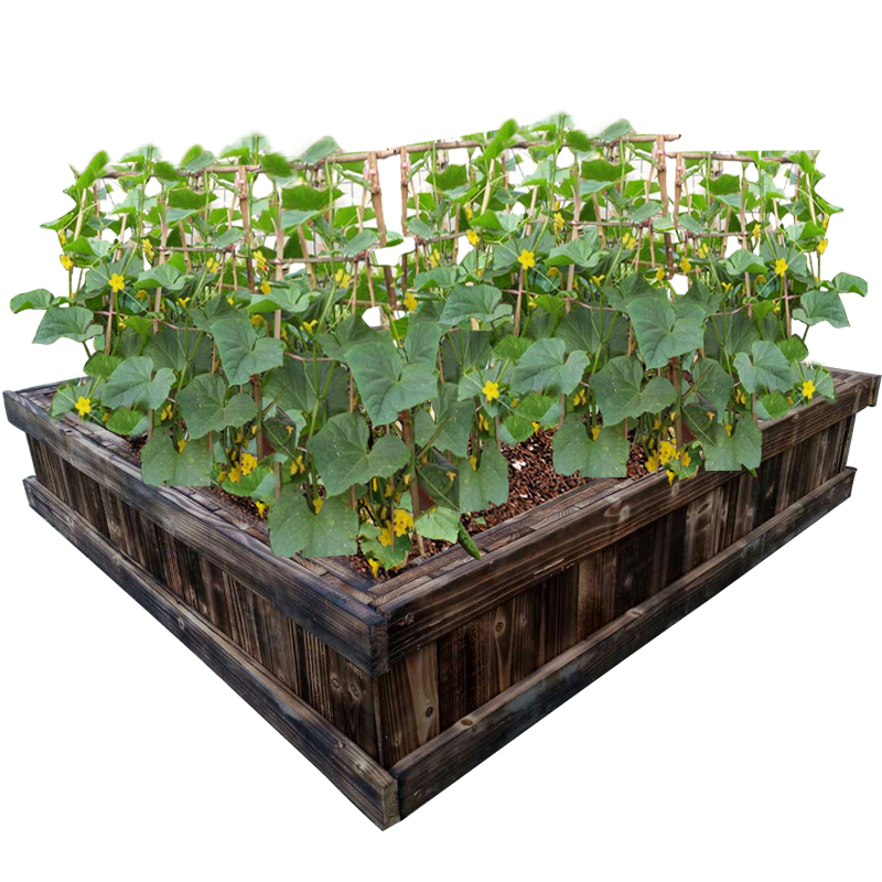 定制一米菜园种植箱槽楼顶屋顶阳台种菜盆长方形O防腐木花盆养殖