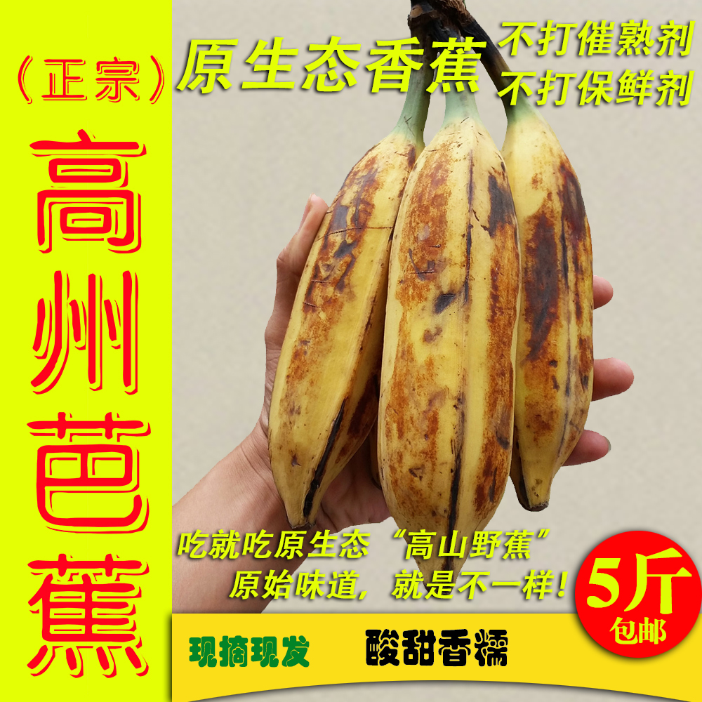 原生态高山野生大芭蕉5斤广东精选高州香蕉新鲜水果巴牛角蕉包邮