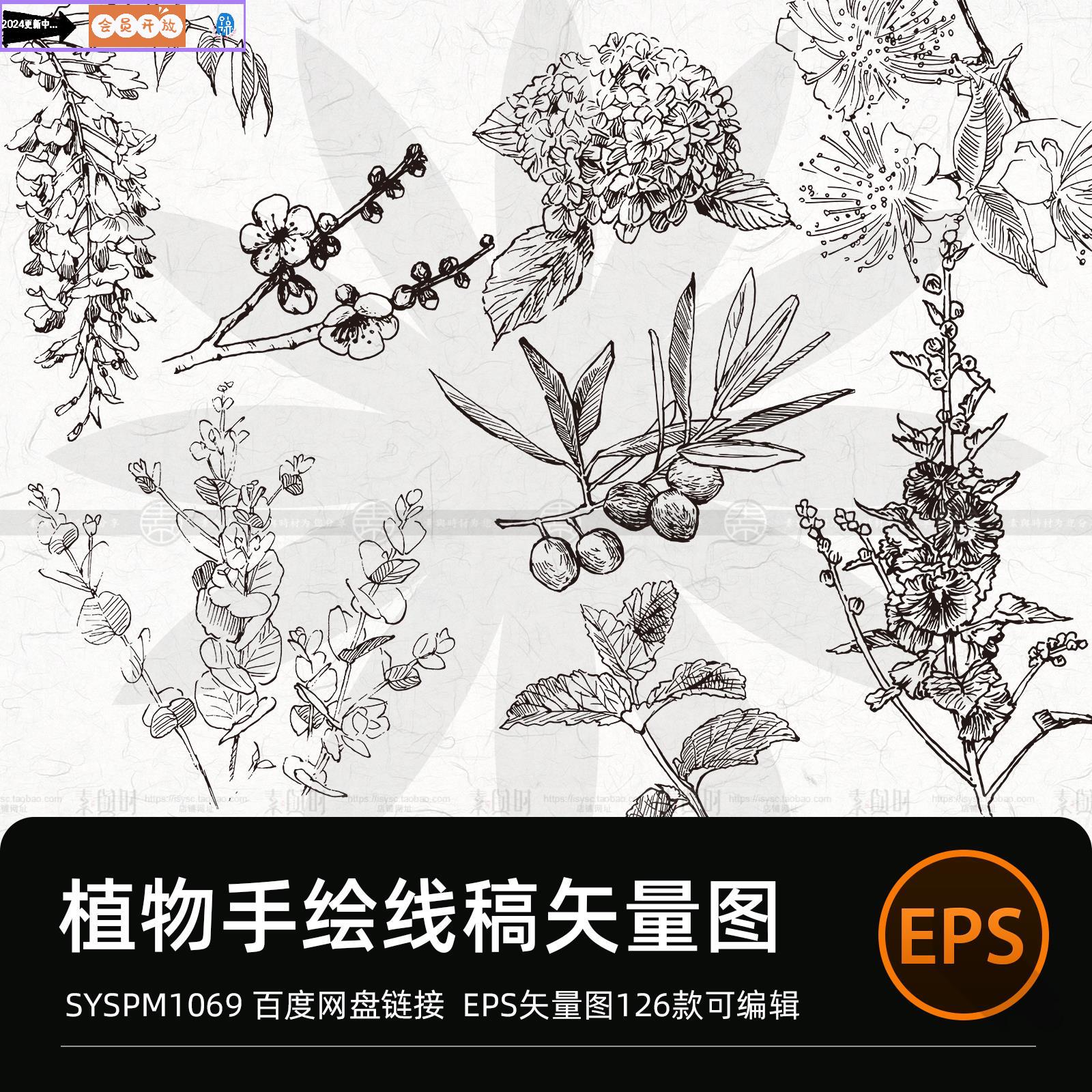 手绘线稿素描线描草本植物花卉玫瑰菊元素PNG免扣EPS矢量设计素材