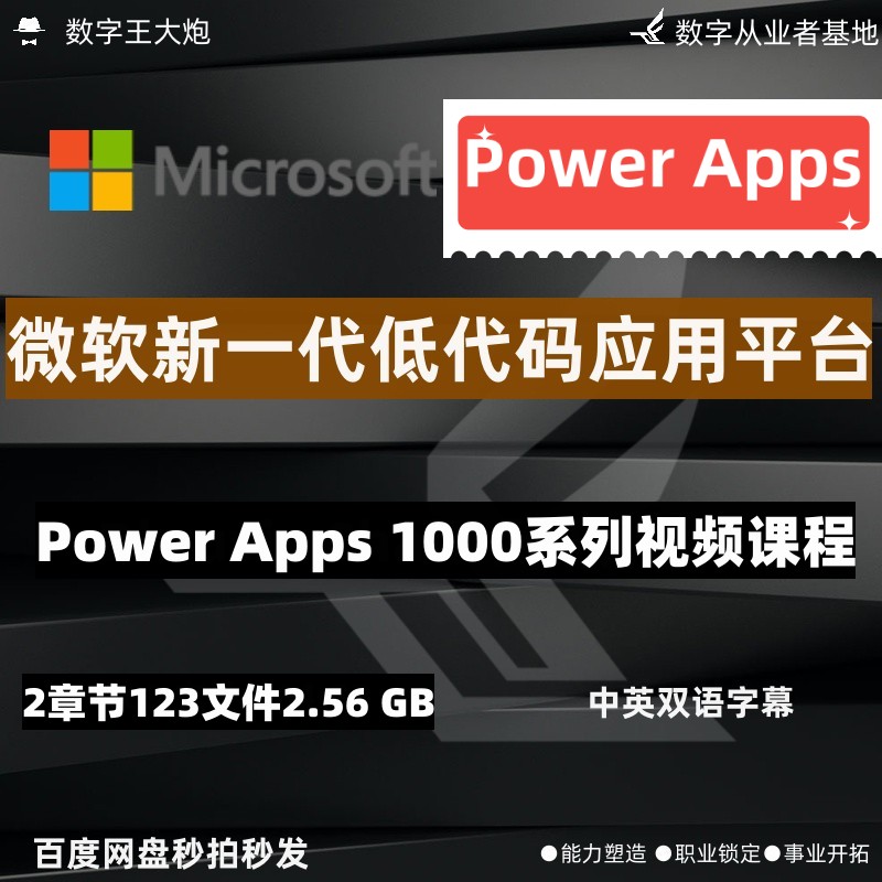 微软powerapps 1000应用低代码编程教学视频apps企业系统开发平台