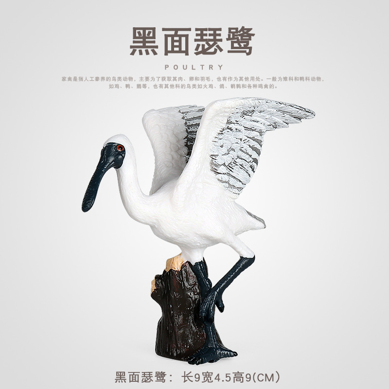 仿真飞禽动物实心鸟类模型塑胶玩具黑脸琵鹭饭匙鸟科教认知摆件