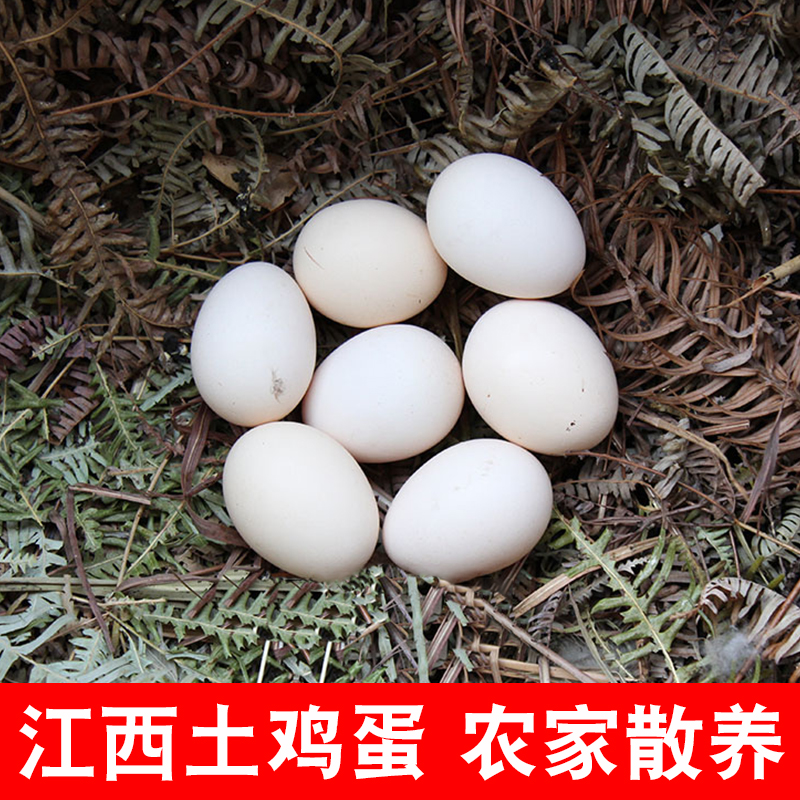 江西土鸡蛋农家散养正宗新鲜真正本地农村柴鸡蛋笨草鸡蛋20枚40枚