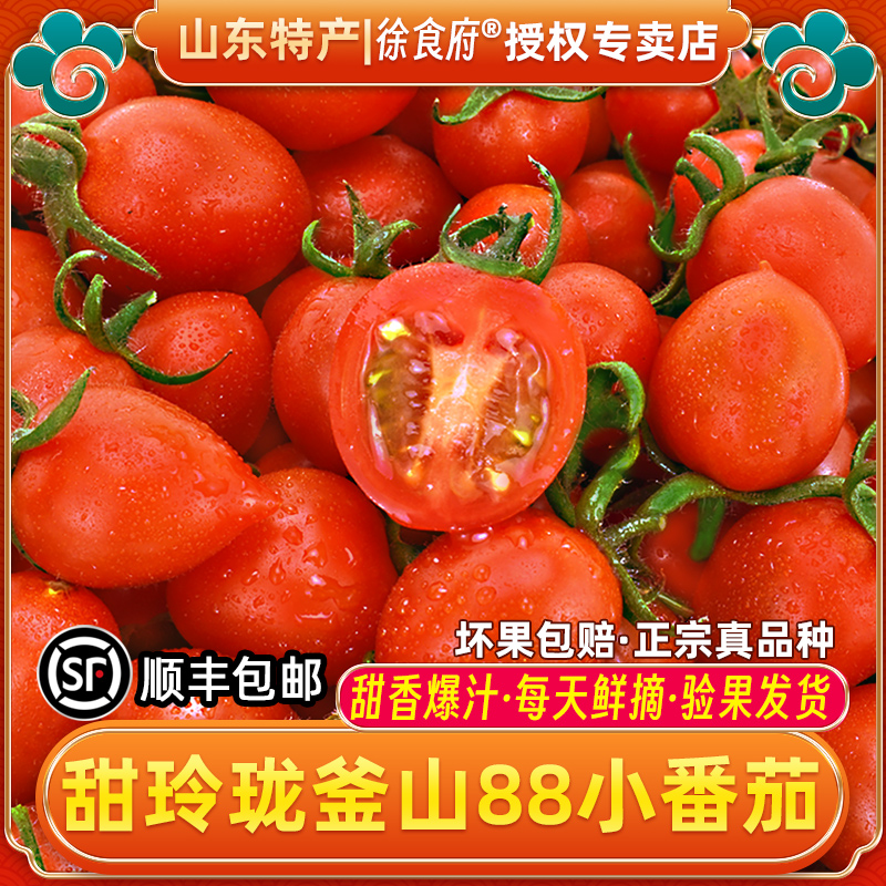 釜山88小番茄玲珑圣女果山东新鲜水果迷你西红柿水果爆汁甜小柿子