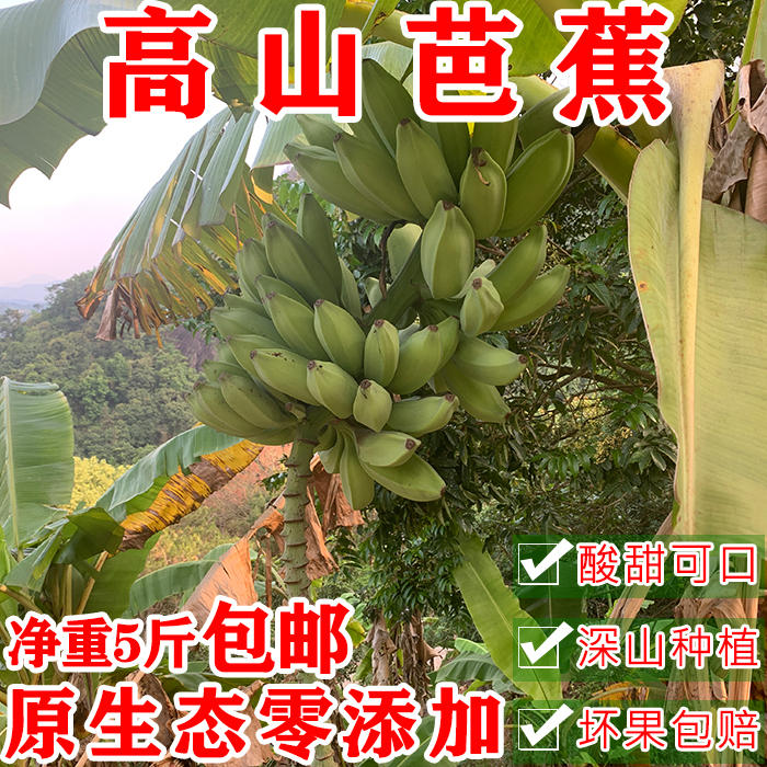 广东绿芭蕉5斤包邮plantain青大蕉新鲜水果牛角蕉自然熟零添加