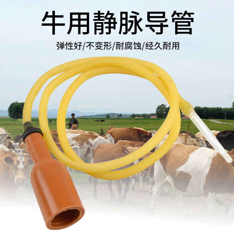 牛用静脉导管 牛输液器 牛饲养管理用具