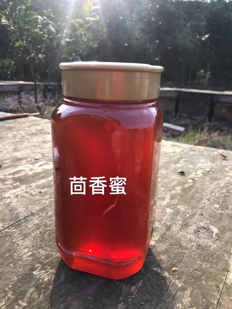 养蜂人李美扬自产茴香蜜甘肃戈壁滩纯蜂蜜