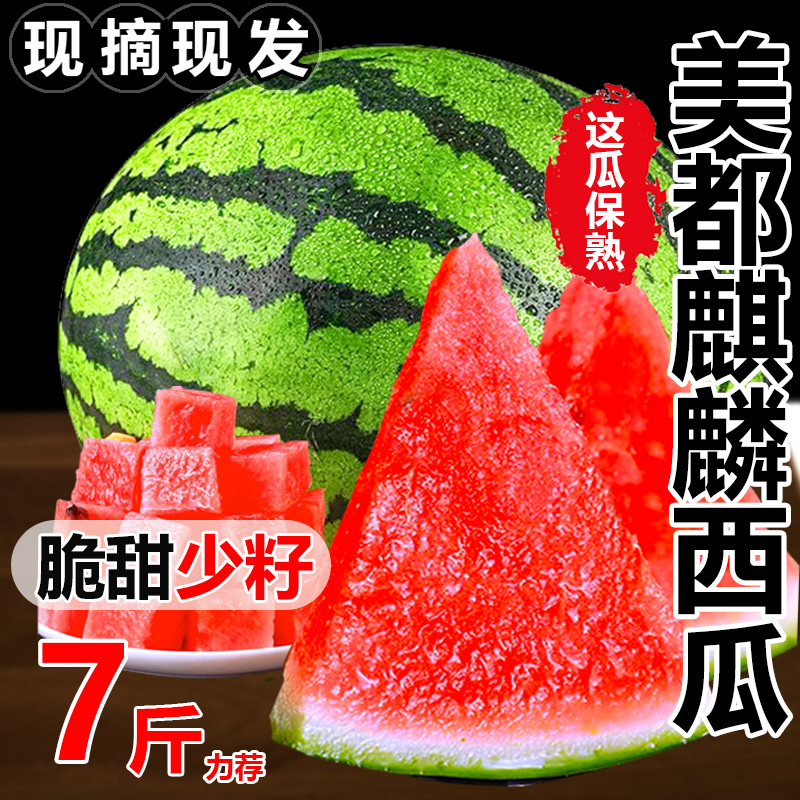 麒麟西瓜新鲜当季水果正宗8424美都籽西瓜冰糖无手剥沙瓤爆汁8斤