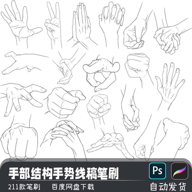 人物手部结构特写抓握牵手手势动作PS笔刷预设procreate画笔素材