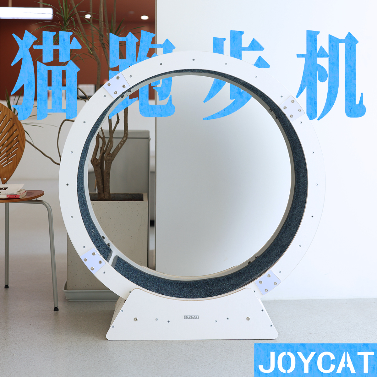 JoyCat猫咪跑步机网红实木多层板宠物滚轮静音运动跑轮猫爬架