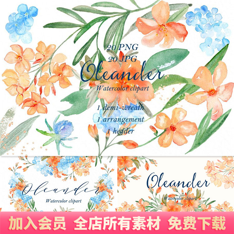水彩夹竹桃花卉叶子植物产品包装图案PNG免扣元素PS设计素材