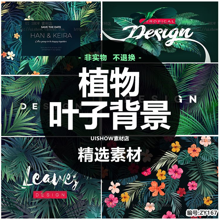 夏季热带雨林植物叶子banner插画海报平面包装背景矢量图设计素材