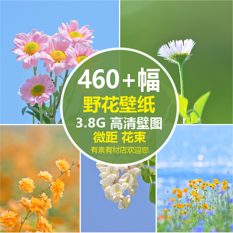 4K8K高清微距摄影鲜花花朵唯美花束蓝天空壁纸背景图海报设计素材