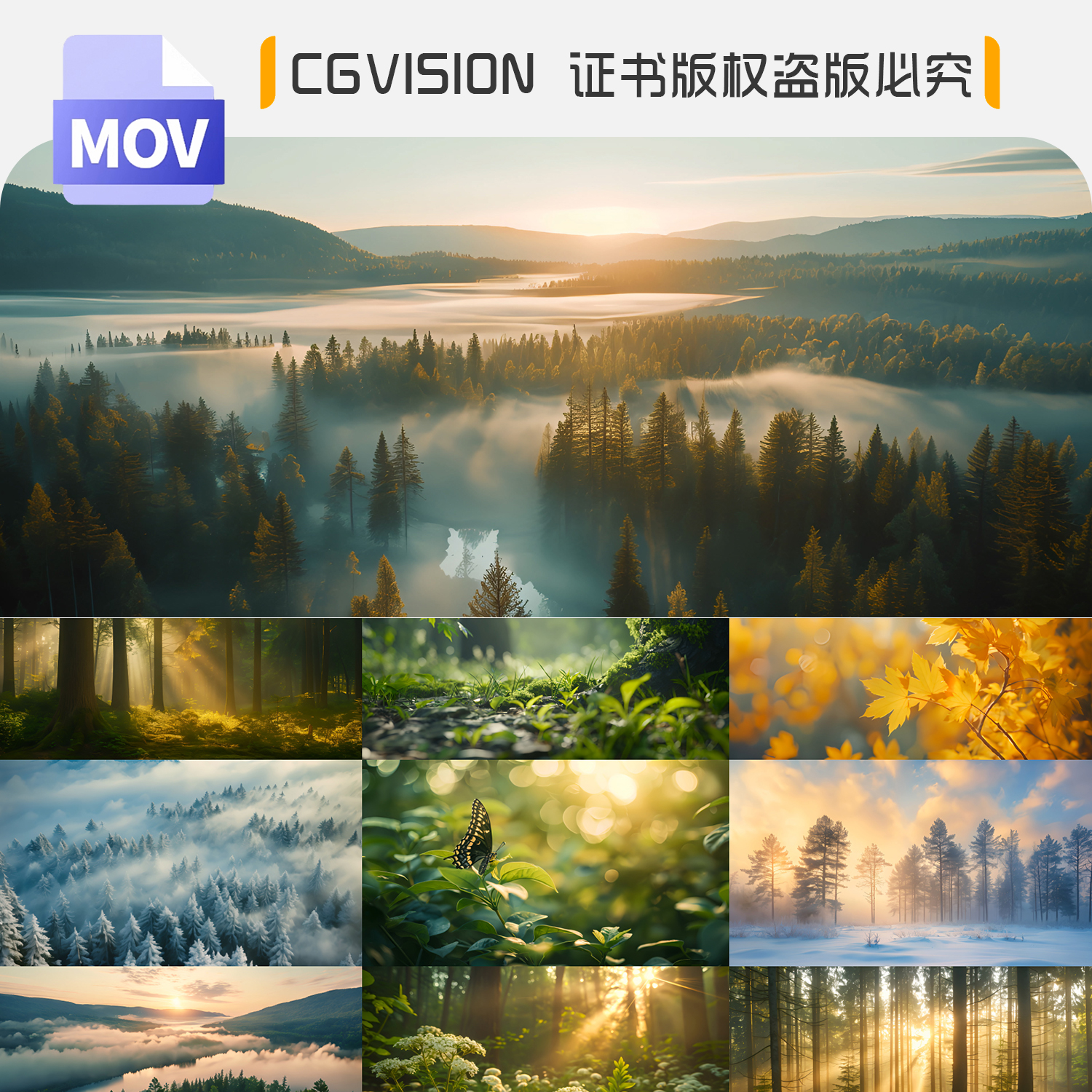 4K视频自然风光清晨阳光森林云雾绿色生态户外风景树意境光影素材