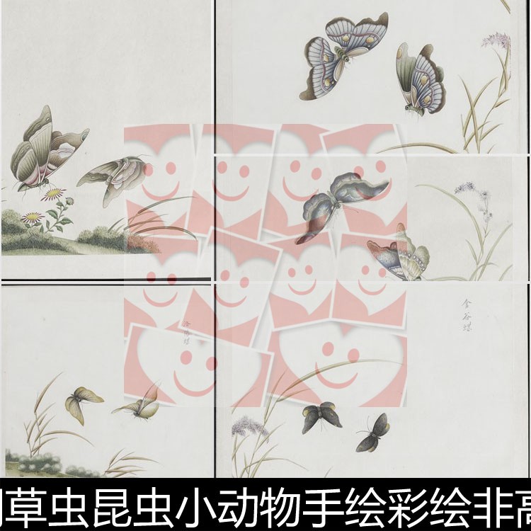 UHG清代时期草虫昆虫小动物手绘彩绘非高清小图素材资料参考精选