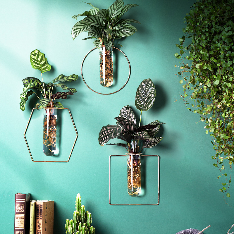 创意墙上壁挂花盆绿萝壁挂水培玻璃花瓶绿植餐厅简约墙面装饰挂件