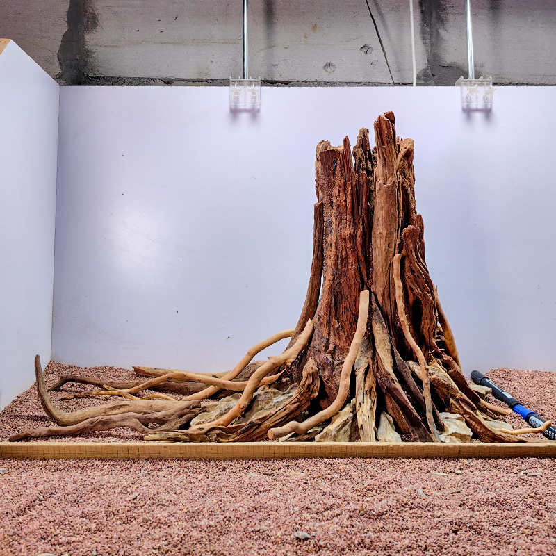 鱼缸生命之树造景大型1.2米树桩沉木骨架定制草缸内饰莫斯树景装