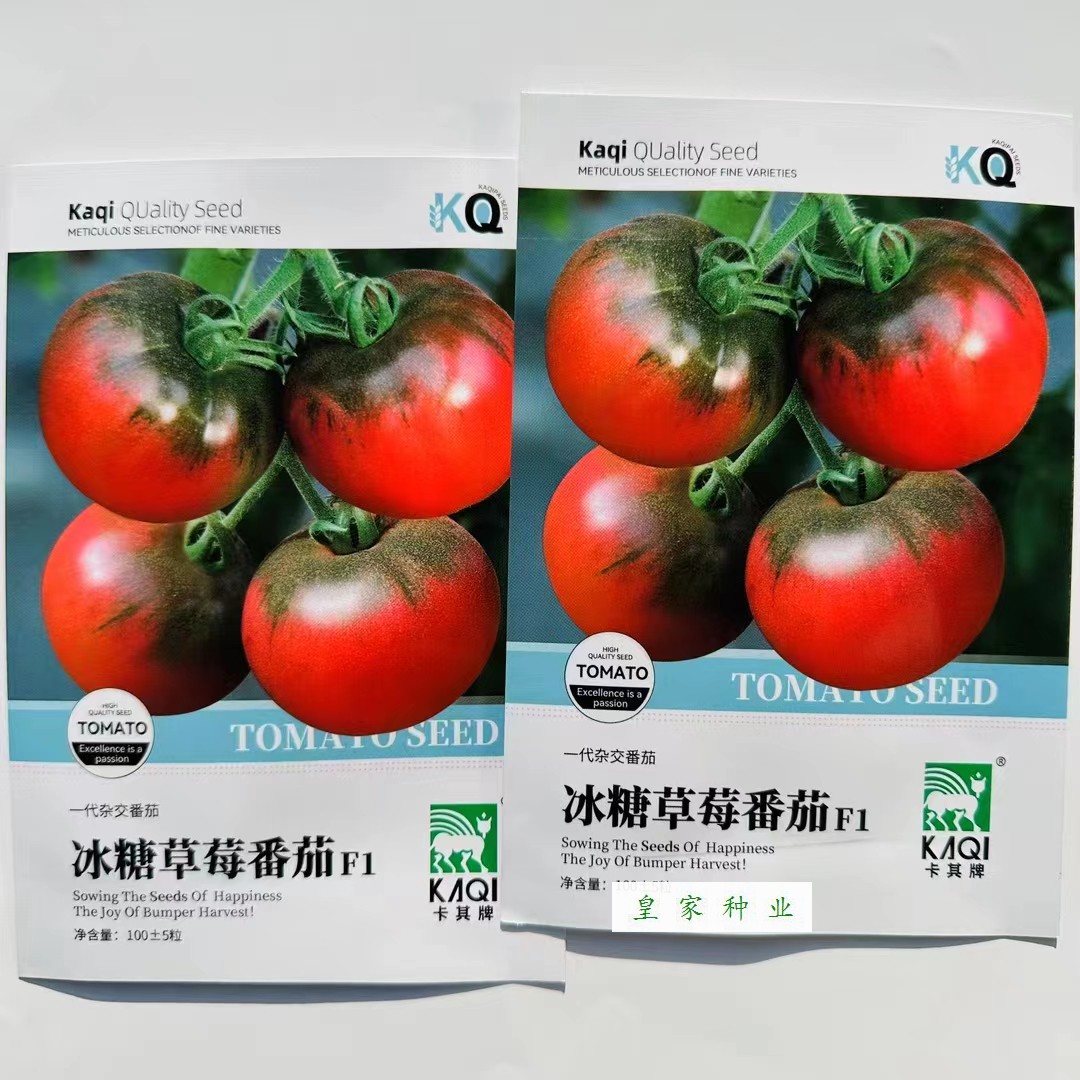 卡其冰糖草莓茄种子中早熟绿肩西红柿种籽无限生长型酸甜可口高产